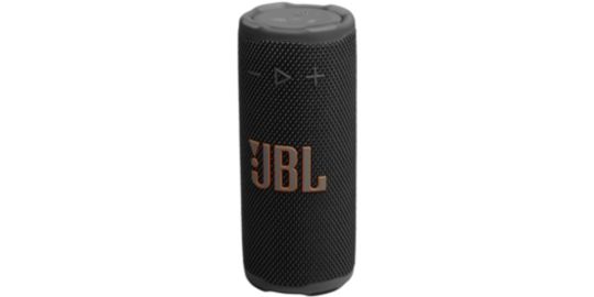 Enceinte portable JBL GRIP NOIR
