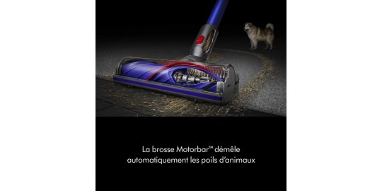 Aspirateur balai Dyson