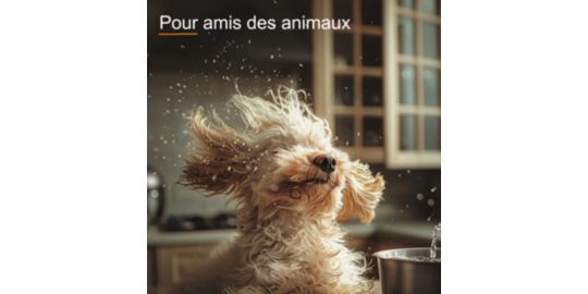 Nettoyeur de sol THOMAS Pet & Family Aqua+ (788568)