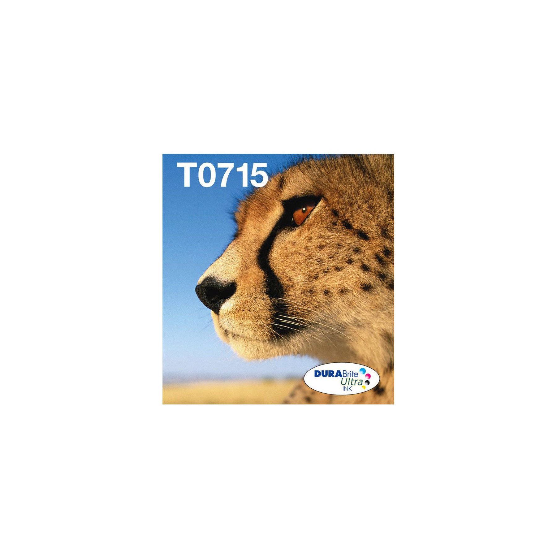 Cartouche d'encre EPSON C13T07154511