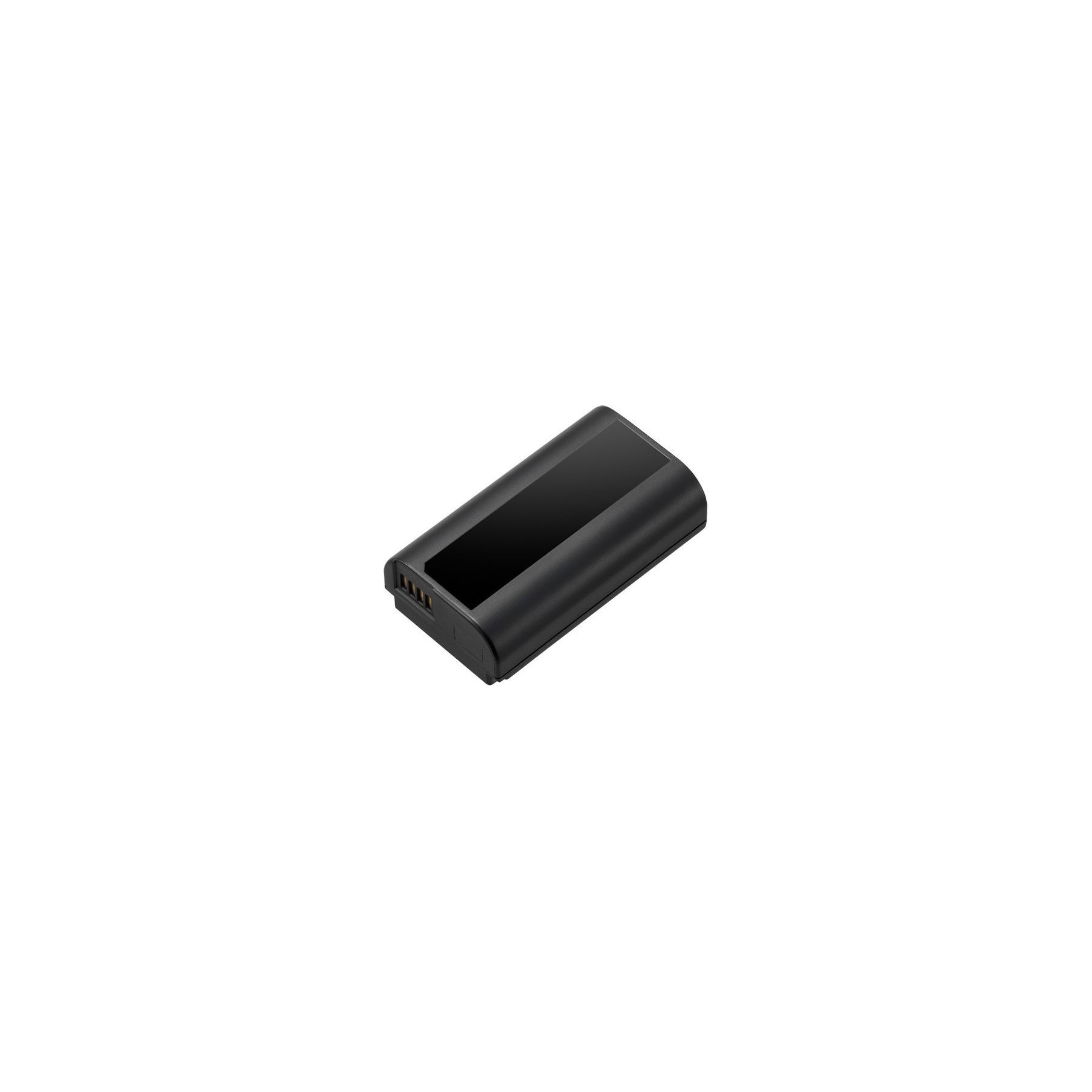 Batterie appareil photo PANASONIC Batterie DMW-BLJ31E pour S1/S1R