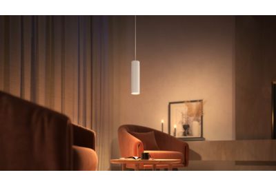 Luminaire PHILIPS HUE W&C Perifo cylindrique Blanche