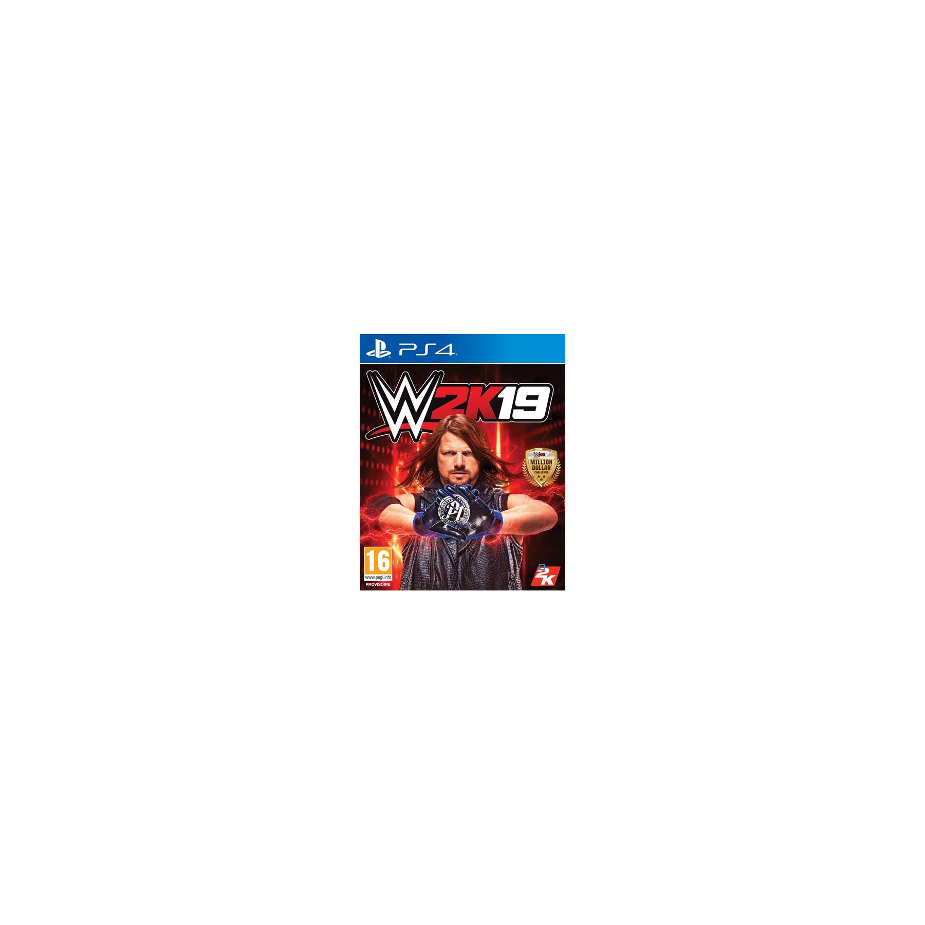 Jeu PS4 TAKE 2 WWE 2K19