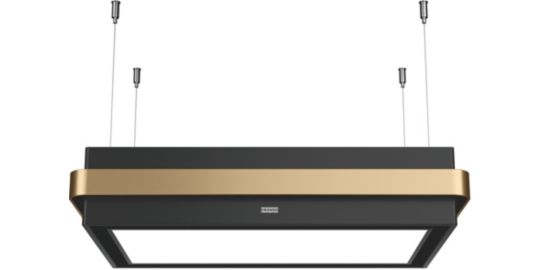 Hotte décorative îlot FRANKE 463231