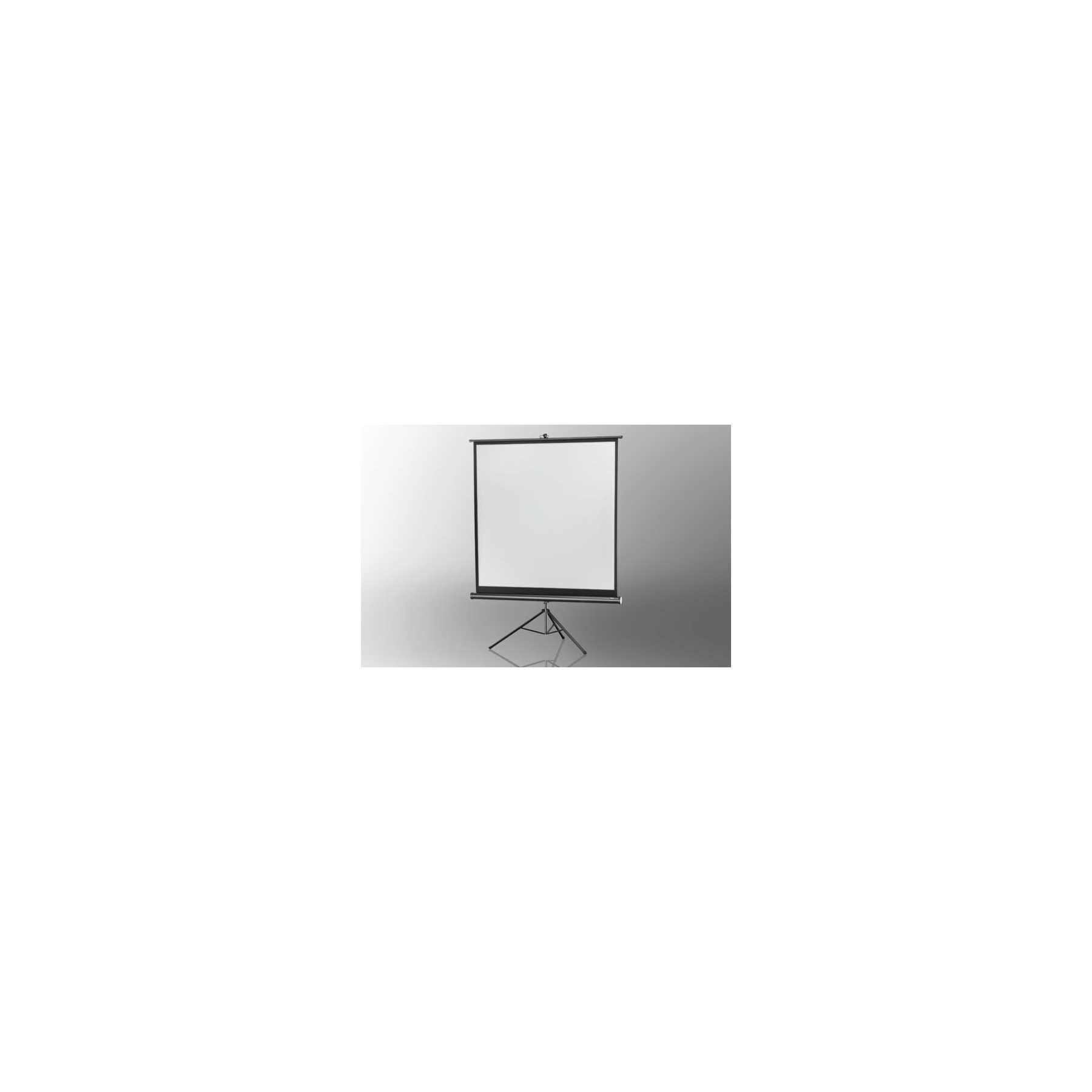 Ecran de projection CELEXON Economy 244 x 244 cm