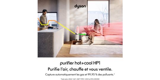 Purificateur d