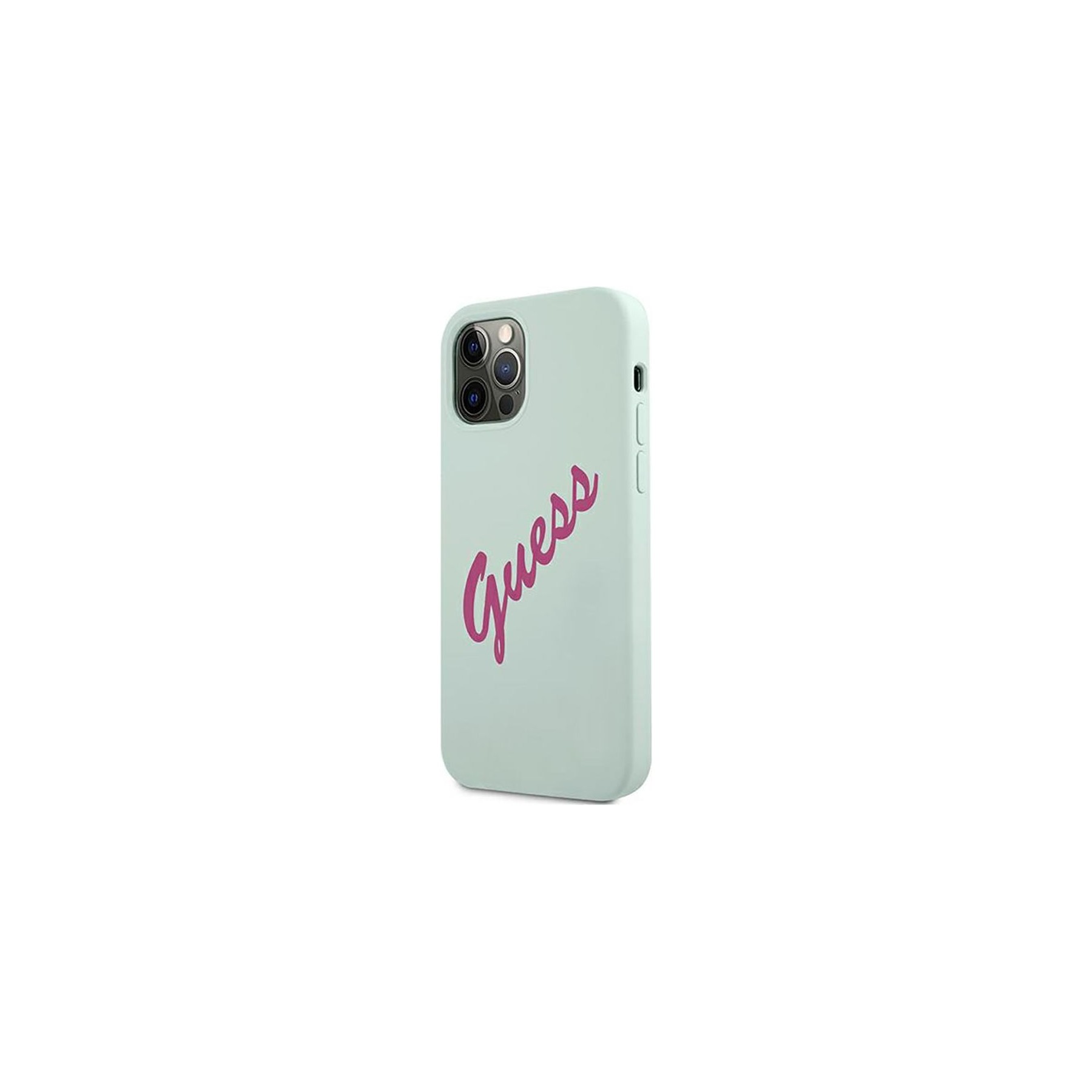 Coque GUESS Apple iPhone 12/12 Pro 6,1 pouces