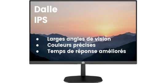 Ecran PC ESSENTIELB Pixel view essB 24