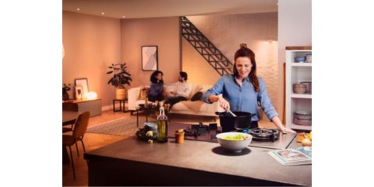 Ampoule LED connectée PHILIPS HUE White Ambiance E27 100W