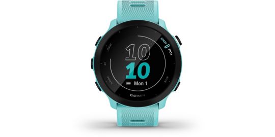 Montre sport GARMIN FORERUNNER 55 Vert d