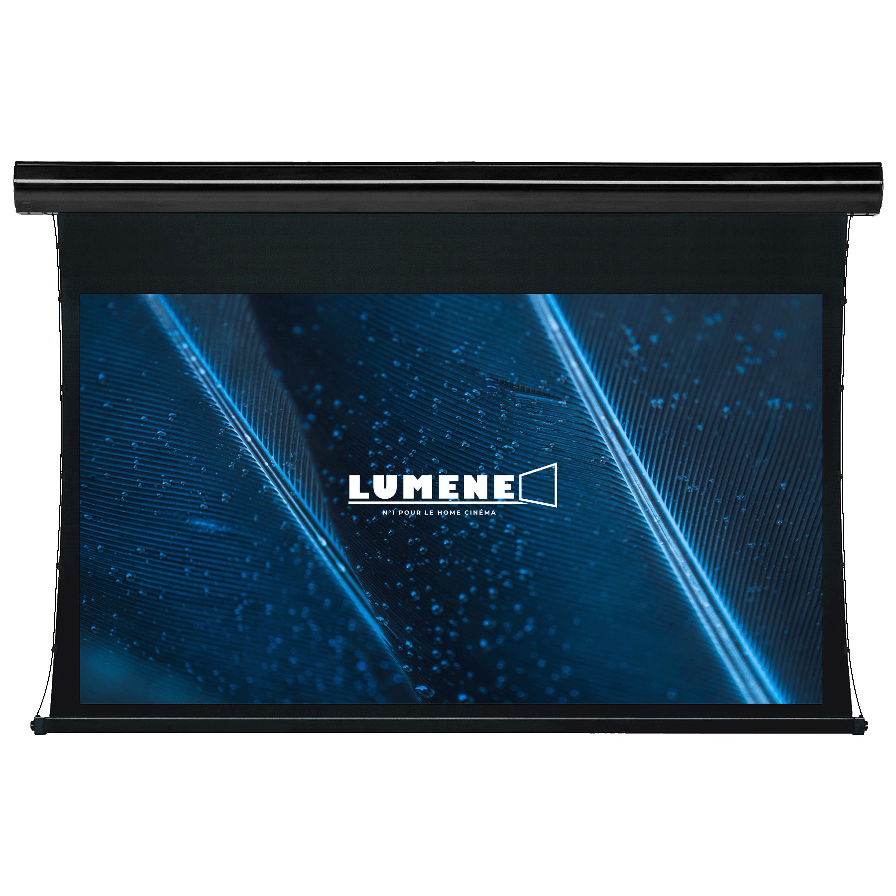 Ecran de projection LUMENE COLISEUM UHD 4K 240 C ELECTRIC SCREEN