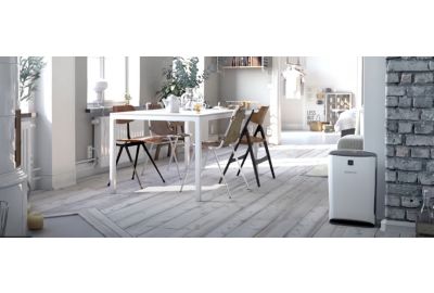 Purif. BONECO P340