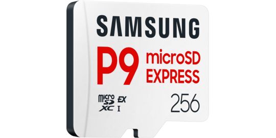 Carte Micro SD SAMSUNG 256Go P9 Express Classe U3 V30 A1