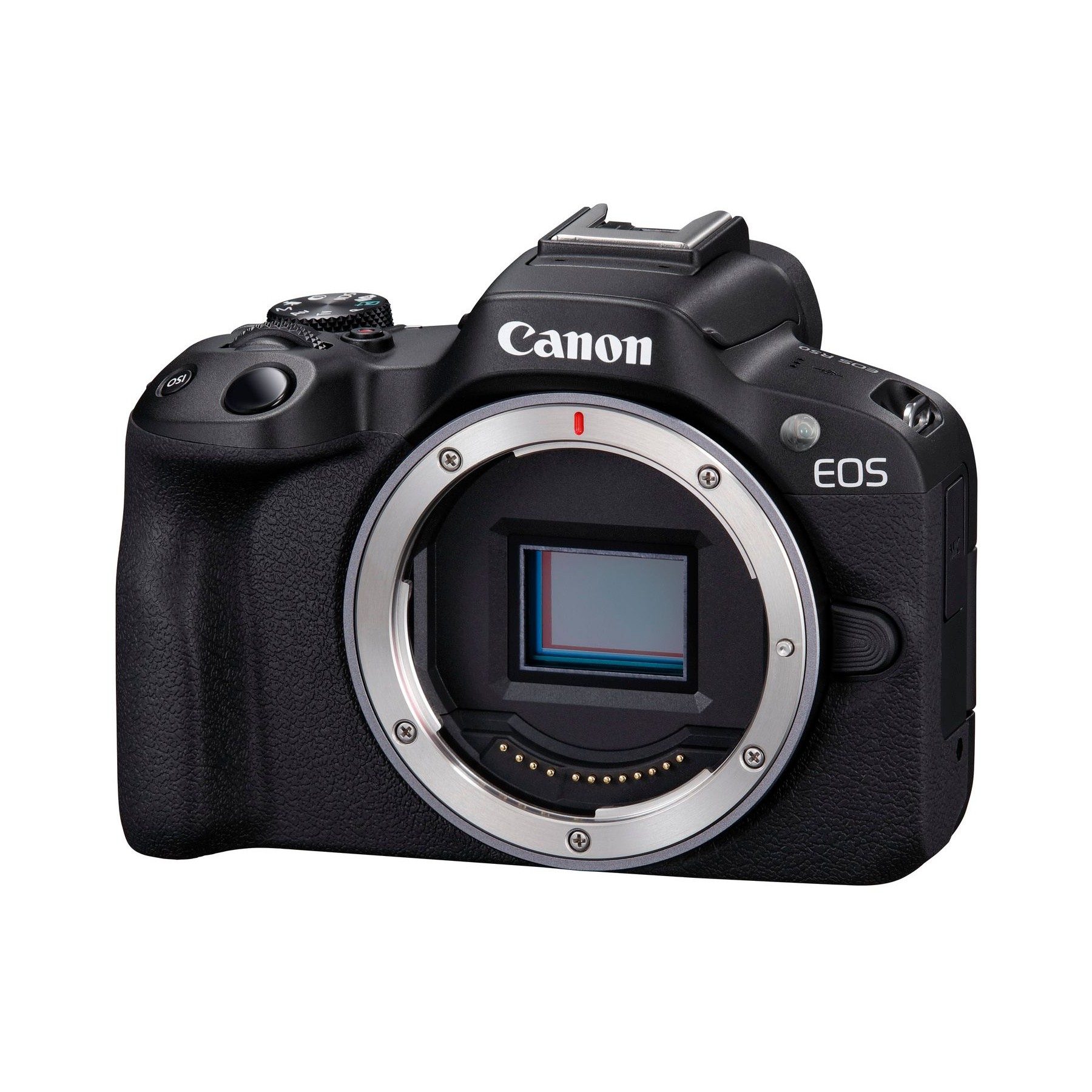 Appareil photo Hybride CANON EOS R50 Noir - Boitier nu