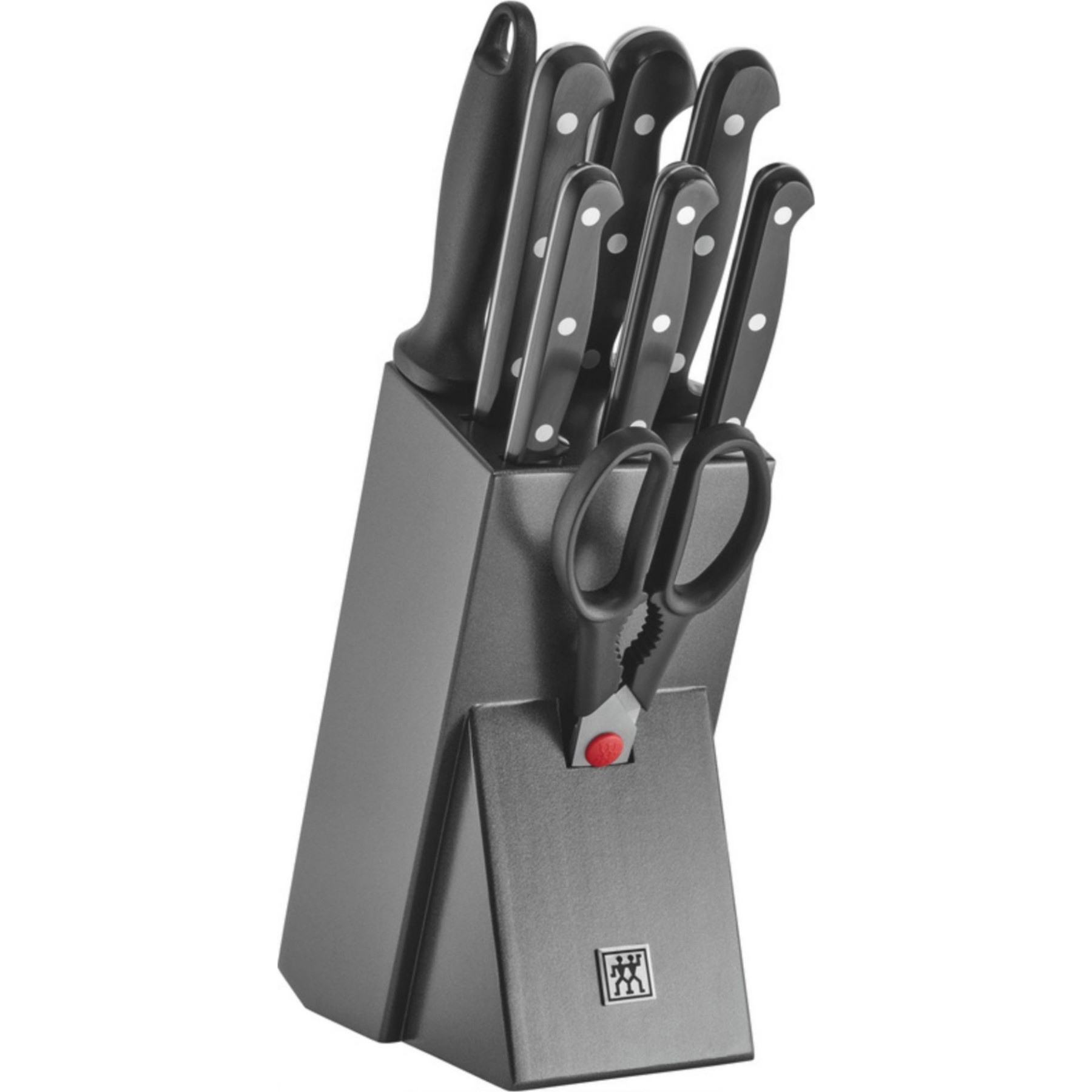 Set de couteaux ZWILLING Bloc avec couteaux
