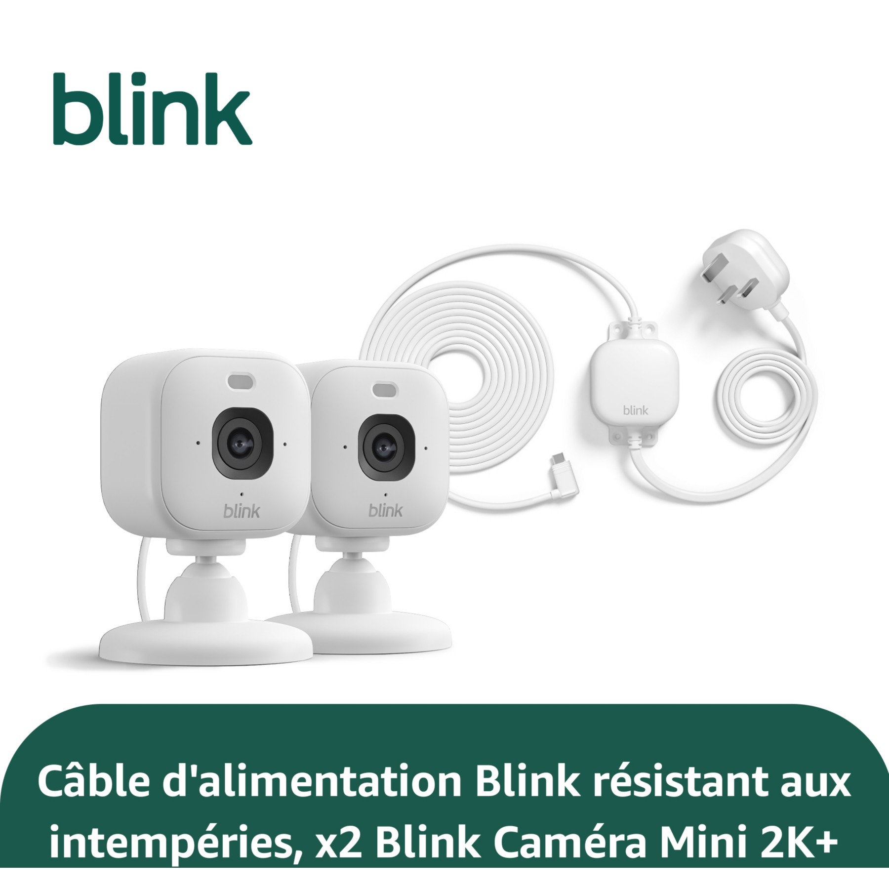 Caméra de surveillance BLINK Indoor Outdoor Camera