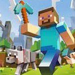 Jeu PS Vita SONY Minecraft