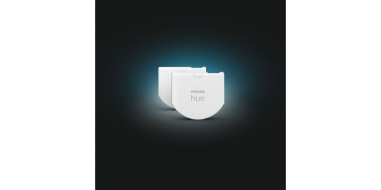 Interrupteur PHILIPS HUE wall switch module x2