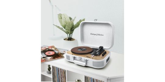 Platine vinyle MUSE MT-201 WW