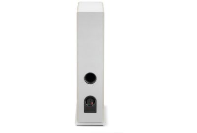 Enceinte bibliothèque FOCAL Vestia N2 Light Wood