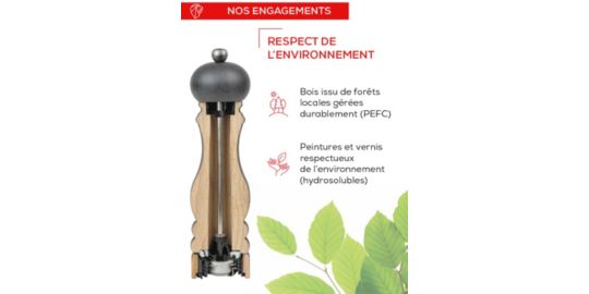 Moulin à sel PEUGEOT Paris u