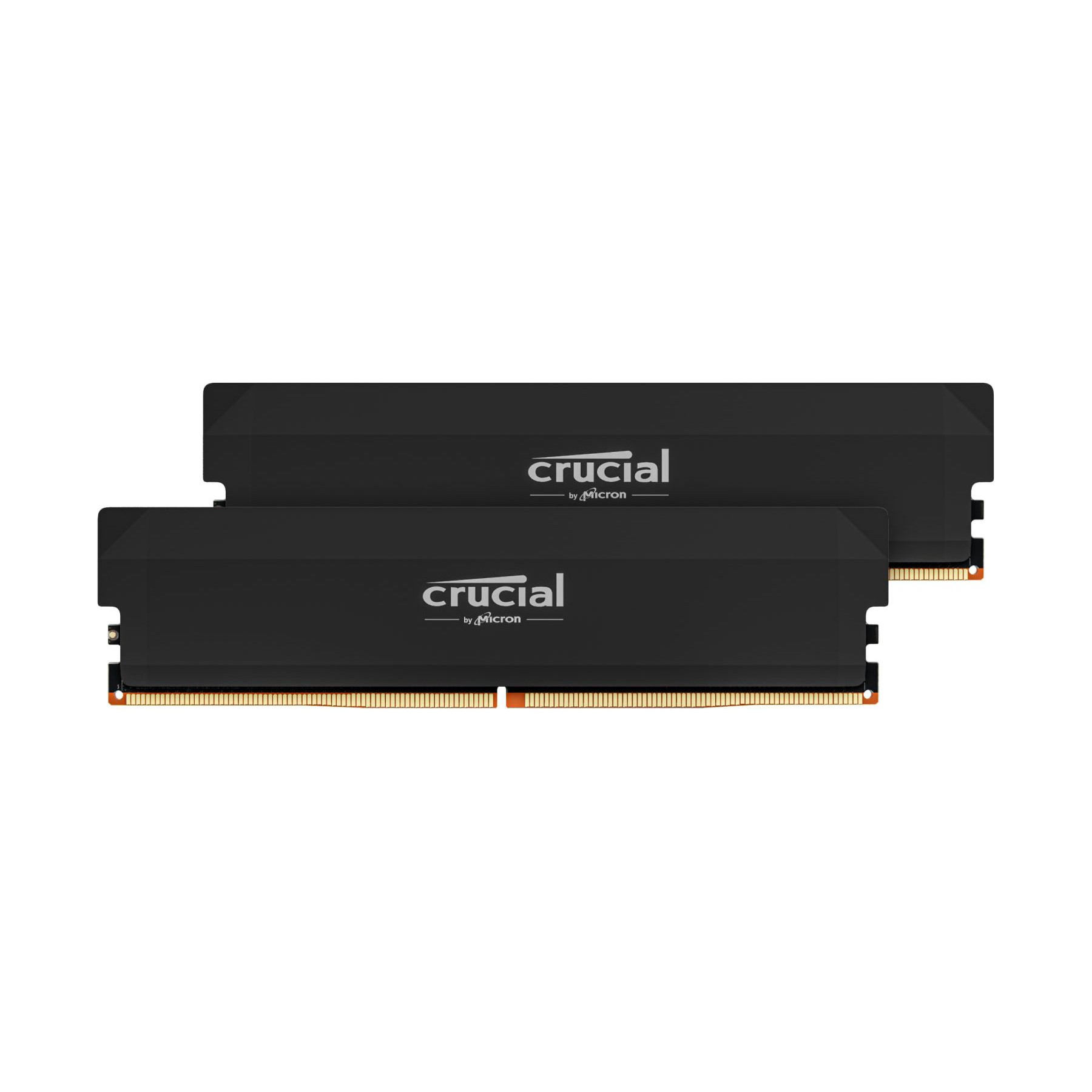 Mémoire vive CRUCIAL Crucial Pro DDR5 Overclocking 32 Go (2 x