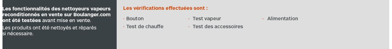 Désinfecteur vapeur POLTI Sani System Business