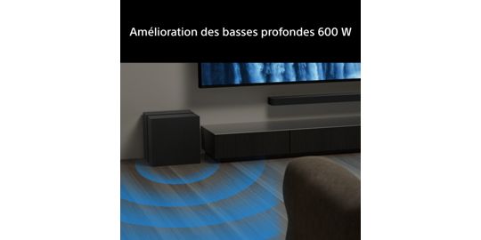 Caisson de basse SONY Bravia Theatre Sub 9