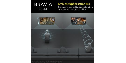 Caméra SONY Bravia Cam