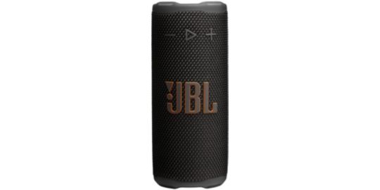 Enceinte portable JBL GRIP NOIR