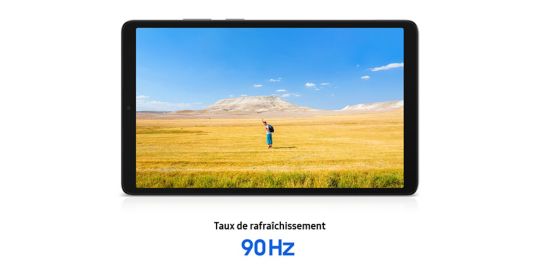 Tablette Apple IPAD Mini 128Go Gris sidéral