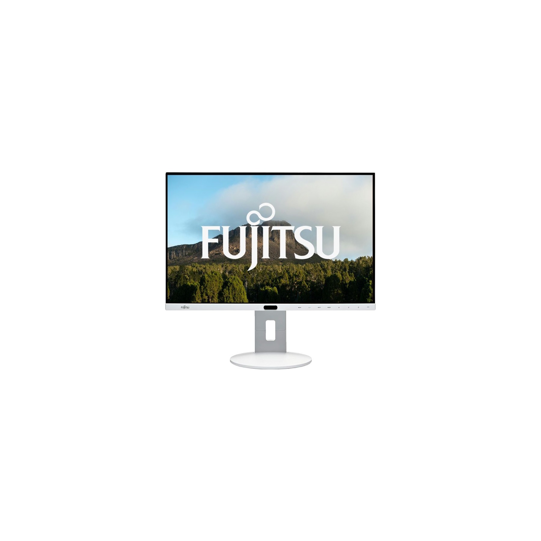 Ecran de projection FUJITSU Fujitsu P24-8 / LED IPS 24" FHD Reconditionné