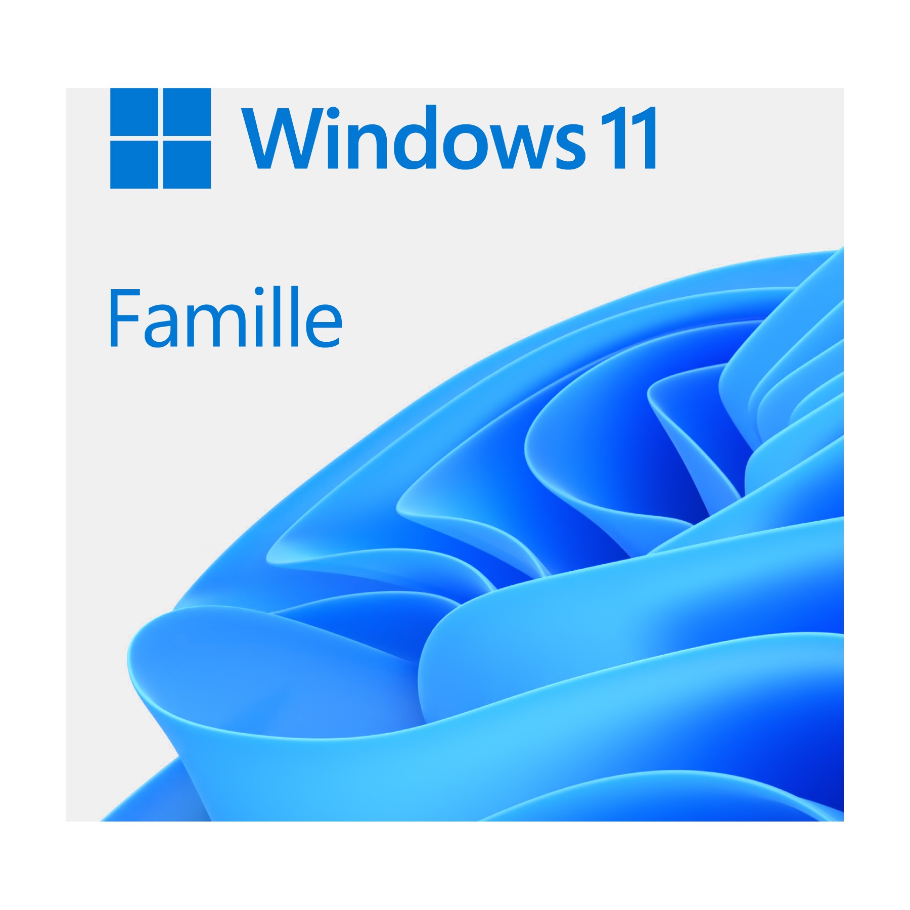 Logiciel de bureautique MICROSOFT Windows 11 Famille Téléchargement