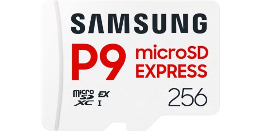 Carte Micro SD SAMSUNG 256Go P9 Express Classe U3 V30 A1