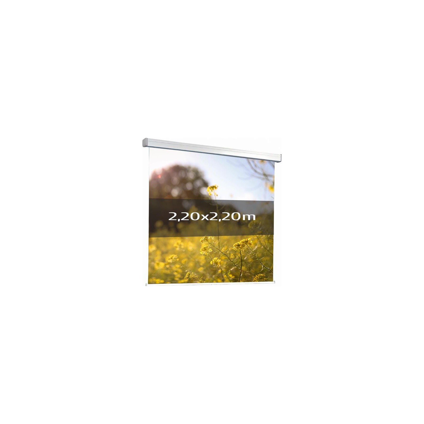 Ecran de projection KIMEX Electrique 2,20 x 2,20m- Toile blanche