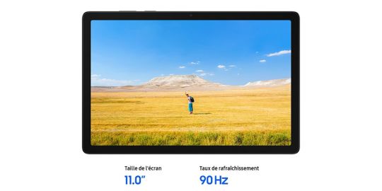 Tablette Apple IPAD Mini 128Go Gris sidéral