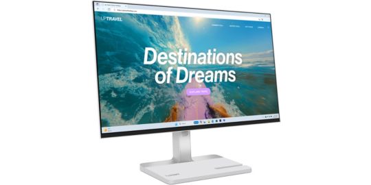 Ecran PC LENOVO L24D-4C