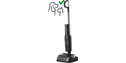 Performance Roborock F25 Grey aspiration 20 kPa