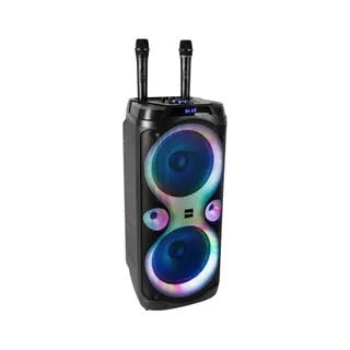Enceinte nomade LEDWOOD Karaoke 300W Bluetooth TWS USB LED