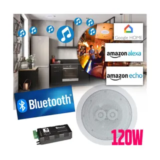 Enceinte encastrable E-AUDIO Haut-parleurs 120W plafond encastrable W