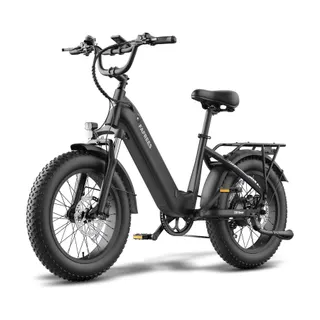 Vélo électrique FAFREES F20 ROVER-15AH