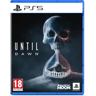 Jeu PS5 SONY UNTIL DAWN