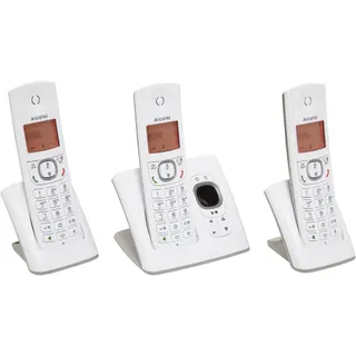 Téléphone sans fil ALCATEL F530 Voice Trio Grey