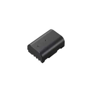 Batterie appareil photo PANASONIC DMW-BLF19E pour GH3-GH4-GH5