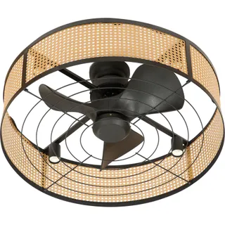 Ventilateur plafonnier FARELEK 112442