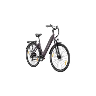 Vélo électrique TT GO C3 SE
