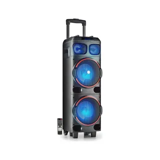 Enceinte sono NGS Haut-Parleur Portable Sono 300W NGS WILD