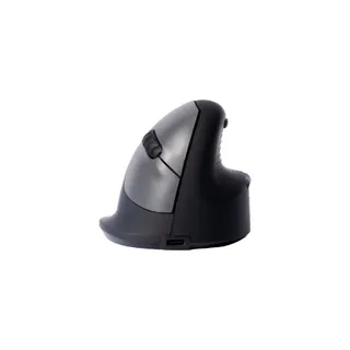 Souris sans fil rechargeable R-GO-TOOLS Souris Ergonomique, droiter, noir