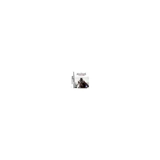 Jeu DS UBISOFT Assassin's creed 2