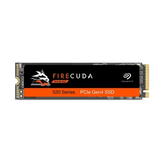 Disque SSD interne SEAGATE ZP500GM3A002